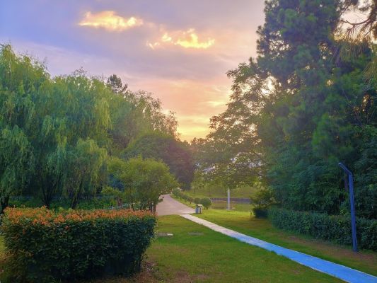 宣城海螺王明，油畫_副本